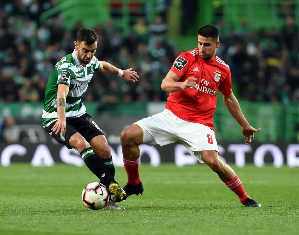 卡尔直播回放最新 卡尔直播回放最新