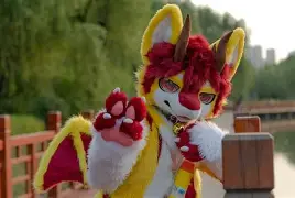 烻売捝f-开云官网登录